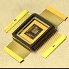 Ted Berger's brain microchip